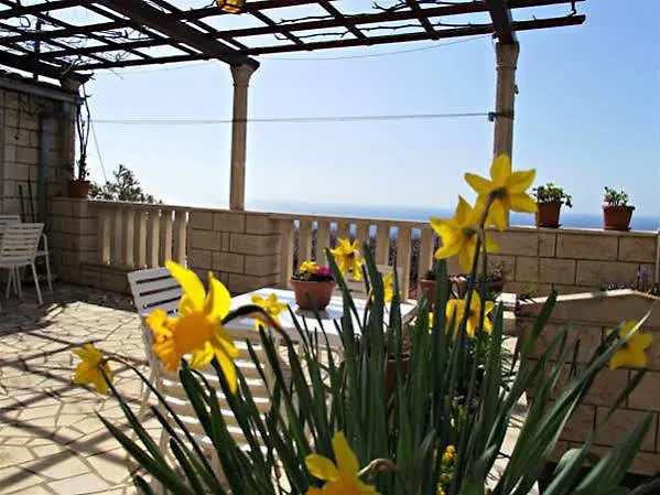 شقة Matic دوبروفينك