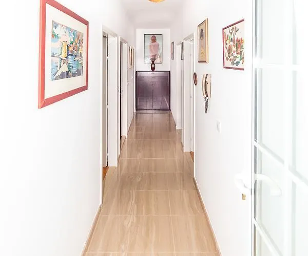 Matic دوبروفينك