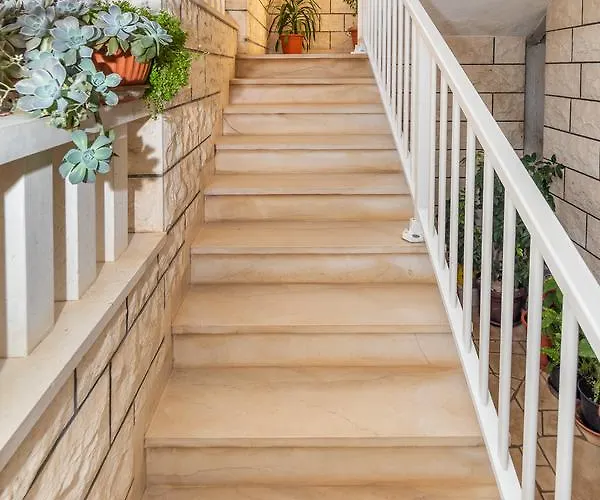 Matic دوبروفينك