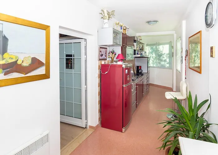 Matic دوبروفينك